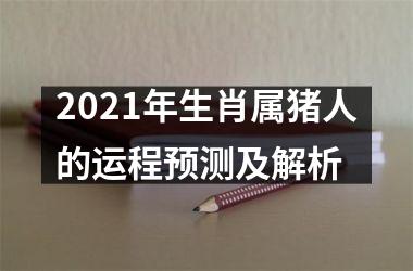 2025年生肖属猪人的运程预测及解析