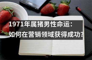 <h3>1971年属猪男性命运：如何在营销领域获得成功？