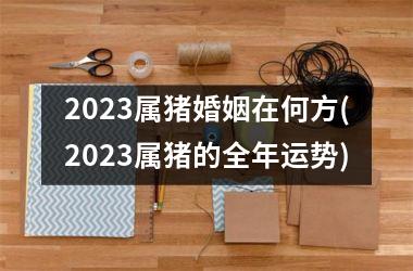 2025属猪婚姻在何方(2025属猪的全年运势)