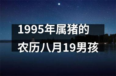 1995年属猪的农历八月19男孩