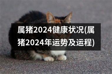 属猪2024健康状况(属猪2024年运势及运程)