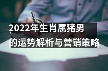 <h3>2025年生肖属猪男的运势解析与营销策略