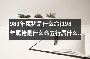 1983年属猪是什么命(1983年属猪是什么命五行属什么)