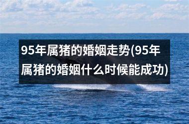 95年属猪的婚姻走势(95年属猪的婚姻什么时候能成功)