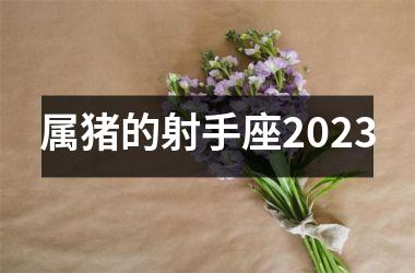 <h3>属猪的射手座2025