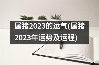 属猪2025的运气(属猪2025年运势及运程)