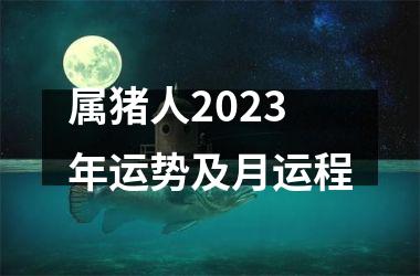 属猪人2025年运势及月运程