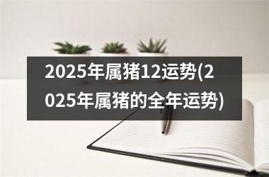 <h3>2025年属猪12运势(2025年属猪的全年运势)