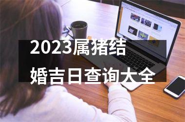 2025属猪结婚吉日查询大全