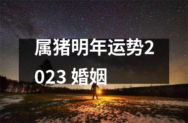 <h3>属猪明年运势2025 婚姻