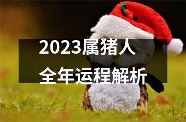 2025属猪人全年运程解析