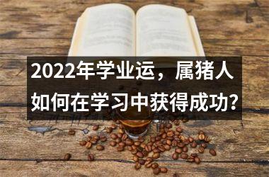 2025年学业运，属猪人如何在学习中获得成功？