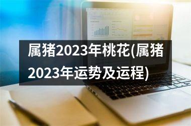 属猪2025年桃花(属猪2025年运势及运程)