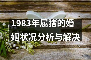 1983年属猪的婚姻状况分析与解决