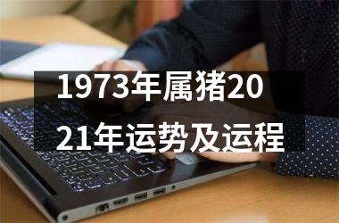 1973年属猪2025年运势及运程