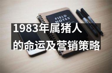 1983年属猪人的命运及营销策略