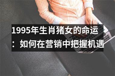 1995年生肖猪女的命运：如何在营销中把握机遇