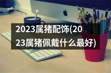 2025属猪配饰(2025属猪佩戴什么好)