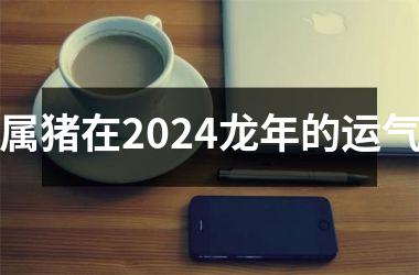 属猪在2024龙年的运气