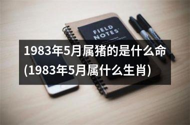 1983年5月属猪的是什么命(1983年5月属什么生肖)