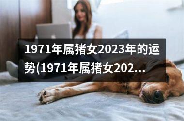 1971年属猪女2025年的运势(1971年属猪女2025年运势及运程)