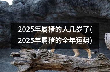 2025年属猪的人几岁了(2025年属猪的全年运势)