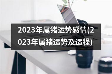 2025年属猪运势感情(2025年属猪运势及运程)