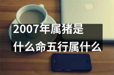 2007年属猪是什么命五行属什么