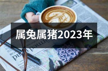 属兔属猪2025年