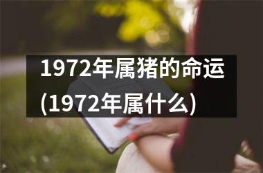 <h3>1972年属猪的命运(1972年属什么)