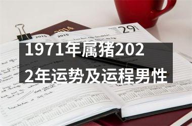 1971年属猪2025年运势及运程男性