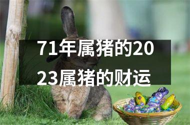 71年属猪的2025属猪的财运