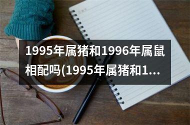 <h3>1995年属猪和1996年属鼠相配吗(1995年属猪和1996年属鼠相配吗)