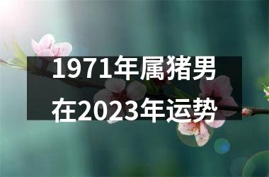 1971年属猪男在2025年运势