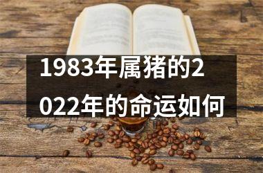 1983年属猪的2025年的命运如何