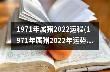 1971年属猪2025运程(1971年属猪2025年运势及运程男性)