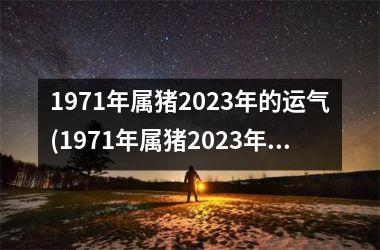 1971年属猪2025年的运气(1971年属猪2025年运程)