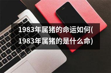 <h3>1983年属猪的命运如何(1983年属猪的是什么命)