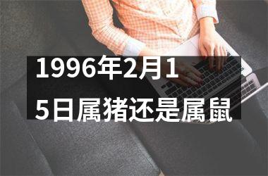 1996年2月15日属猪还是属鼠