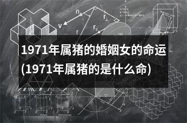 1971年属猪的婚姻女的命运(1971年属猪的是什么命)