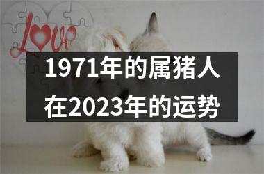 <h3>1971年的属猪人在2025年的运势