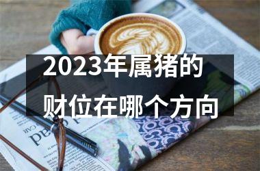 2025年属猪的财位在哪个方向