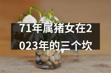 71年属猪女在2025年的三个坎