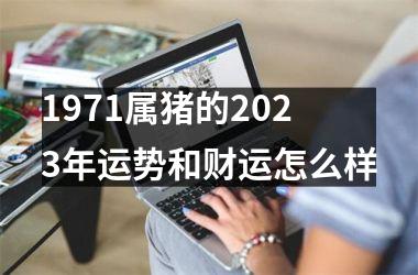 1971属猪的2025年运势和财运怎么样