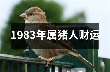 <h3>1983年属猪人财运