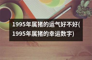 1995年属猪的运气好不好(1995年属猪的幸运数字)