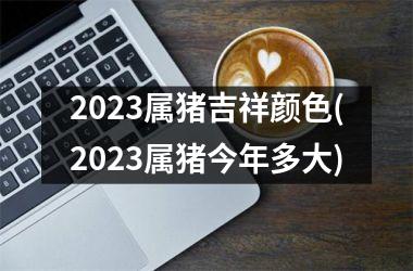 2025属猪吉祥颜色(2025属猪今年多大)