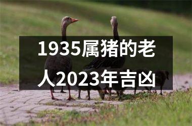 <h3>1935属猪的老人2025年吉凶