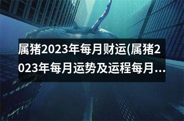 <h3>属猪2025年每月财运(属猪2025年每月运势及运程每月运程)