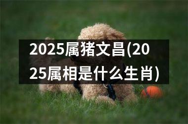 2025属猪文昌(2025属相是什么生肖)